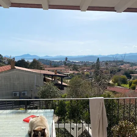 Aria Di Sale *